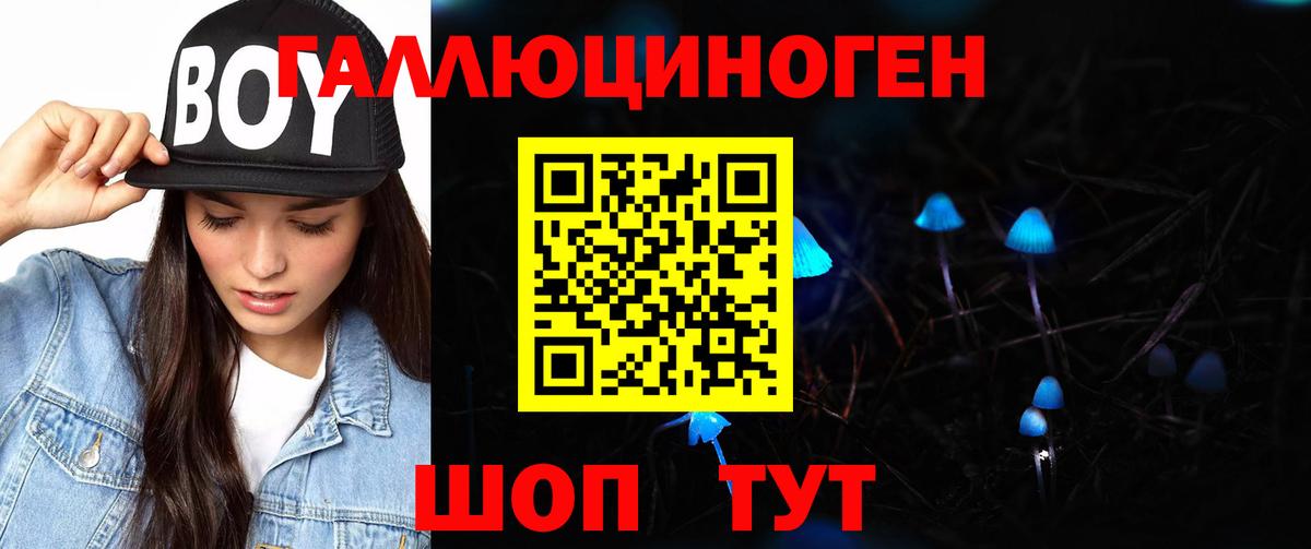 Псилоцибиновые грибы MAGIC MUSHROOMS  Псилоцибиновые грибы MAGIC MUSHROOMS  купить закладку  Вход с VPN  Кашира 